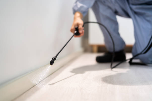 Licensed Fumigation Services service in Lebanon, NH - Nex Pest Control