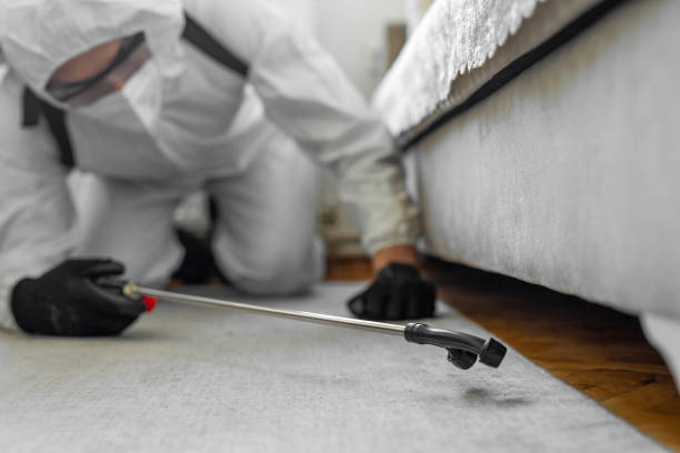 Professional Fumigation Services technician working in Lebanon, NH