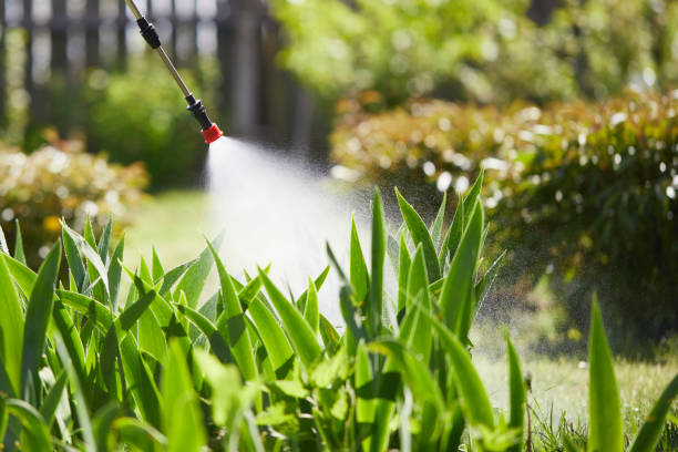 24/7 Emergency Fumigation Services experts in Lebanon, NH