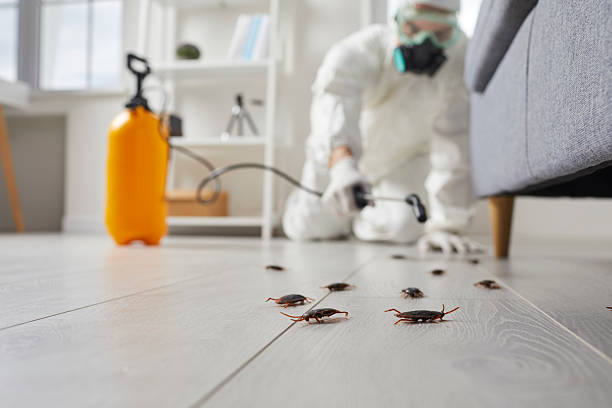 Trusted Rodent Control service in Lebanon, NH - Nex Pest Control