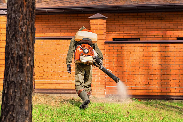 Trusted Ant Control service in Lebanon, NH - Nex Pest Control